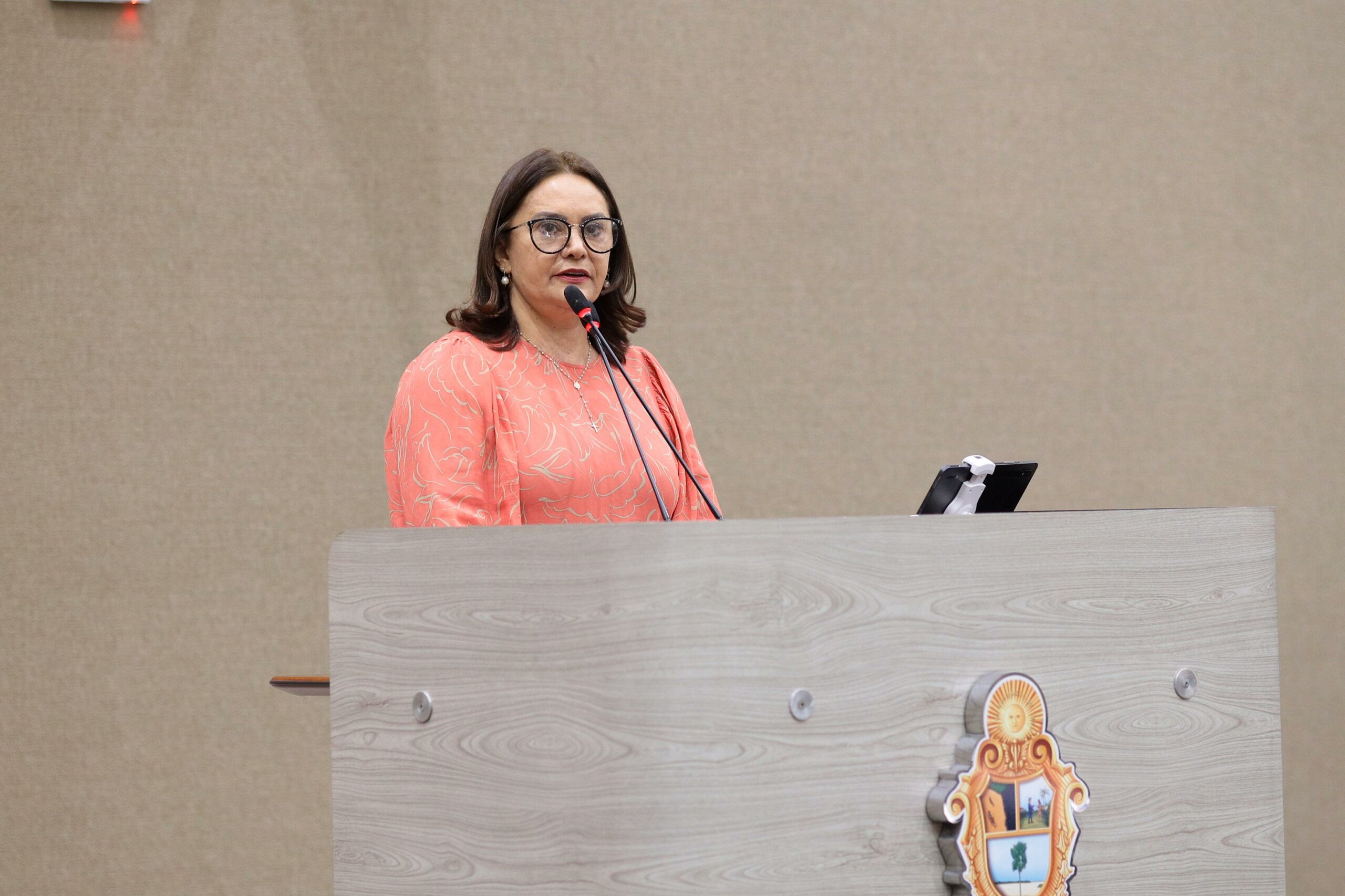 Vereadora Professora Jacqueline critica falta de infraestrutura em ramal na BR-174