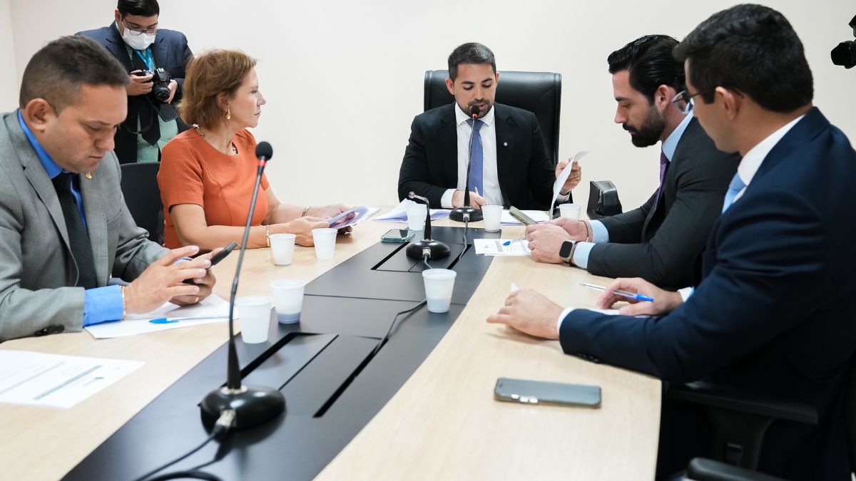Em reunião, Comissão de Defesa dos Direitos da Pessoa com Deficiência apresenta balanço do primeiro semestre