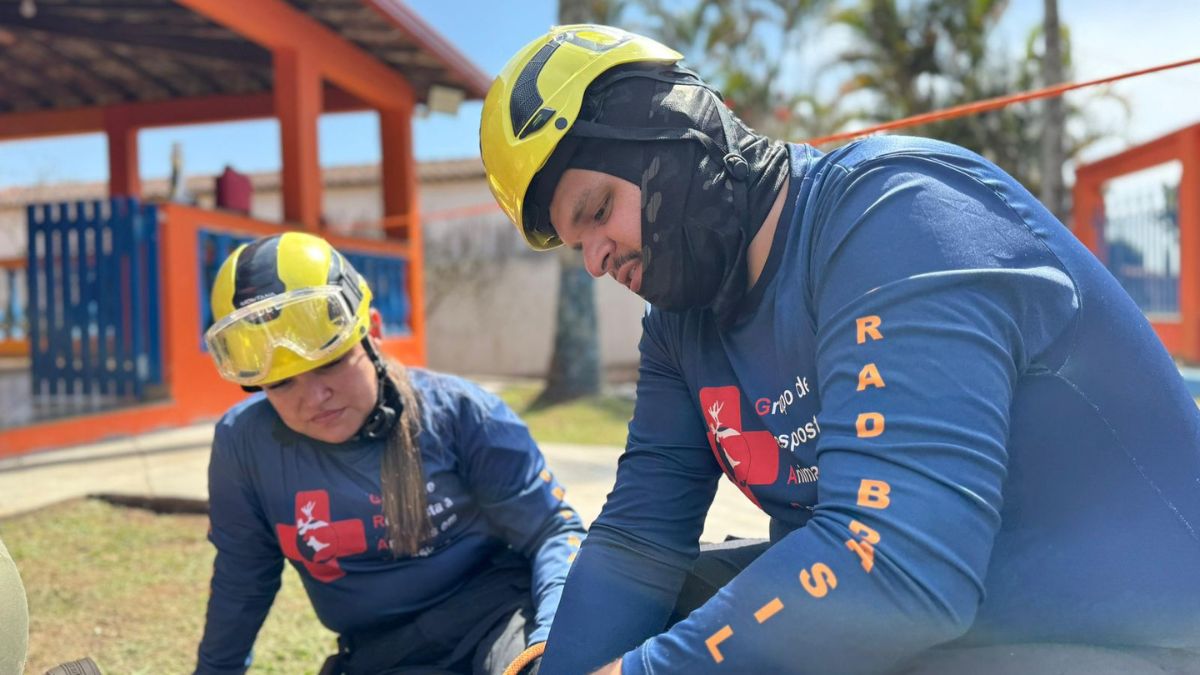 Aldenor Lima participa de capacitação nacional em resgate de animais em desastres