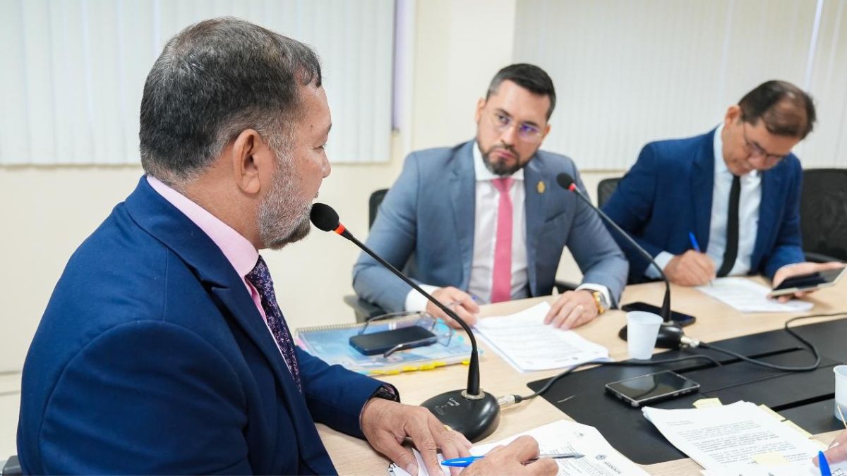 Em reunião, CCJR debate projetos de saúde, bem-estar animal e segurança jurídica