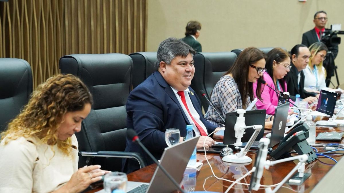 Câmara Municipal de Manaus debate câmeras em vans escolares e app ‘SOS Mulher’